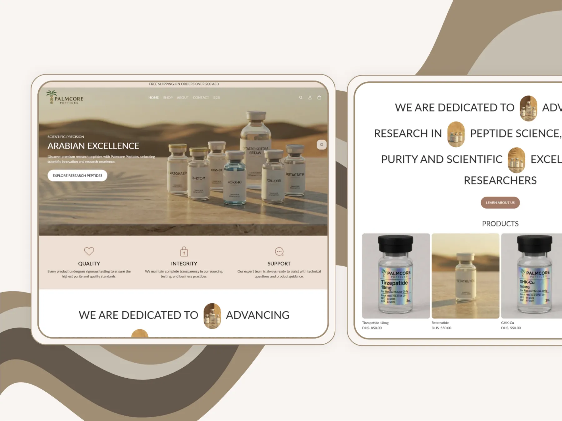 Palmcore store — homepage screenshot 2